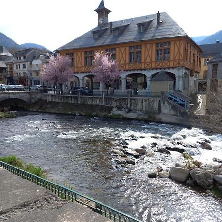 Appartement 2 A 4 Personnes Le Pyreneen A Arreau Carrefour Des Activites De Montagne Экстерьер фото