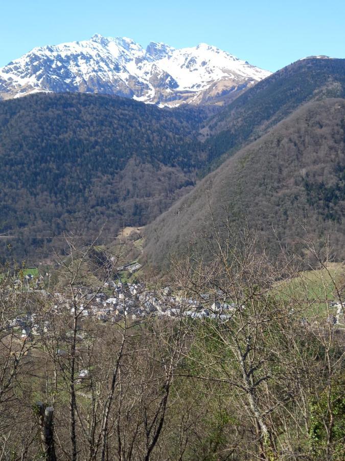 Appartement 2 A 4 Personnes Le Pyreneen A Arreau Carrefour Des Activites De Montagne Экстерьер фото